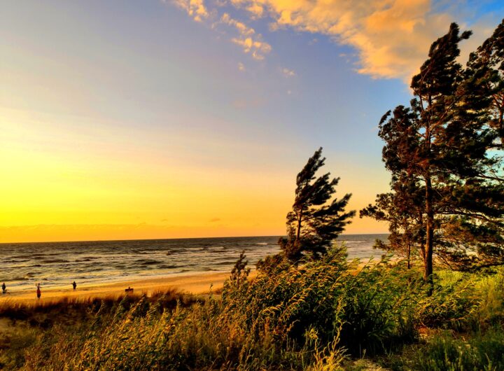 Apartamenty Międzyzdroje – widok na plażę i wybrzeże w Międzyzdrojach